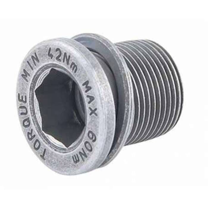Campy Crankbolts - Pair