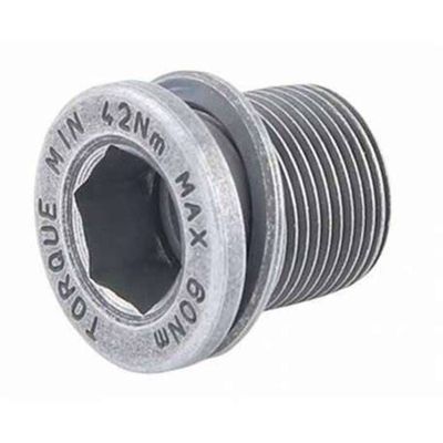 Campy Crankbolts - Pair