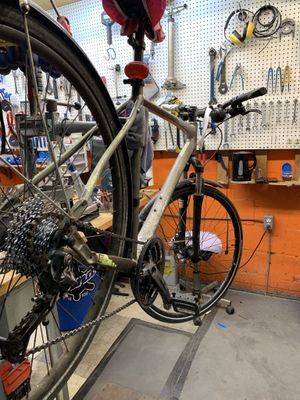 New Bike Tune Up Purchased from Us In The Past 2 Years + Fork Service
