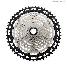 11 SPD
