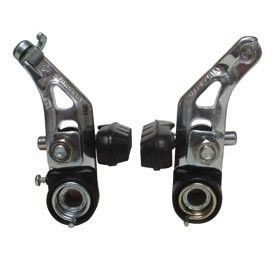 Canti