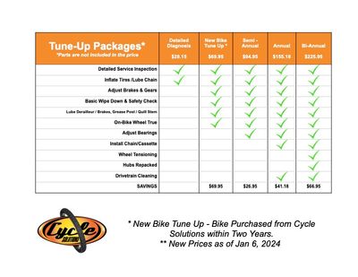 Tune Up Annual With Fork Service