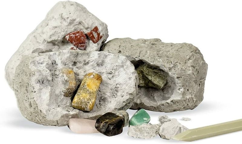Dig it Up! Minerals and Fossils