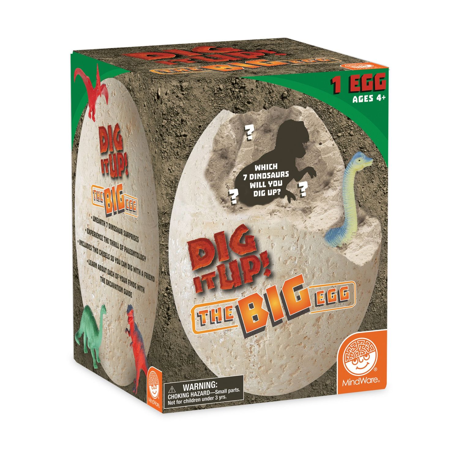 Dig It Up! The Big Egg