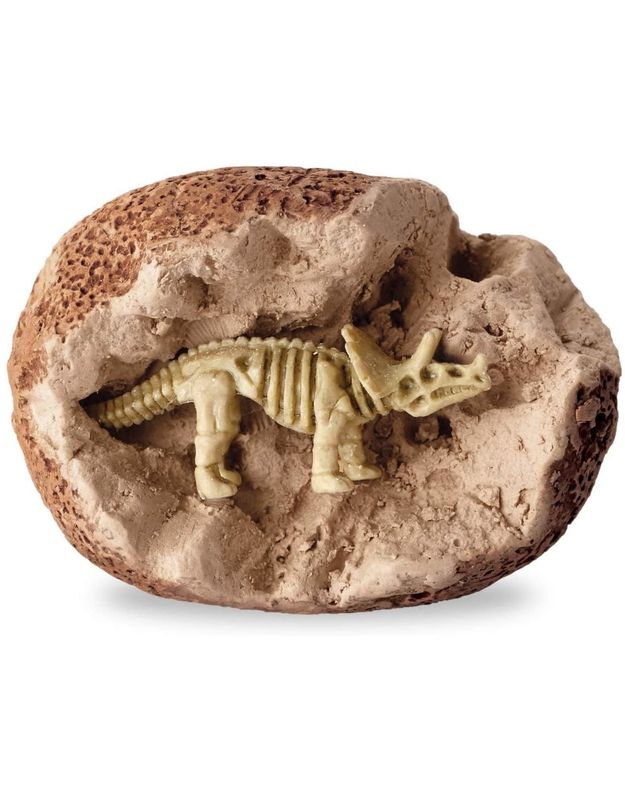 Dig It Up! Dinosaur Skeleton