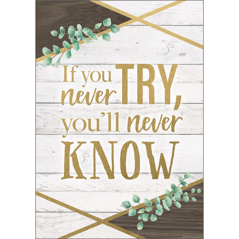 If You Never Try You'll Never Know Positive Poster