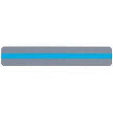 Blue Sentence Strip Reading Guide