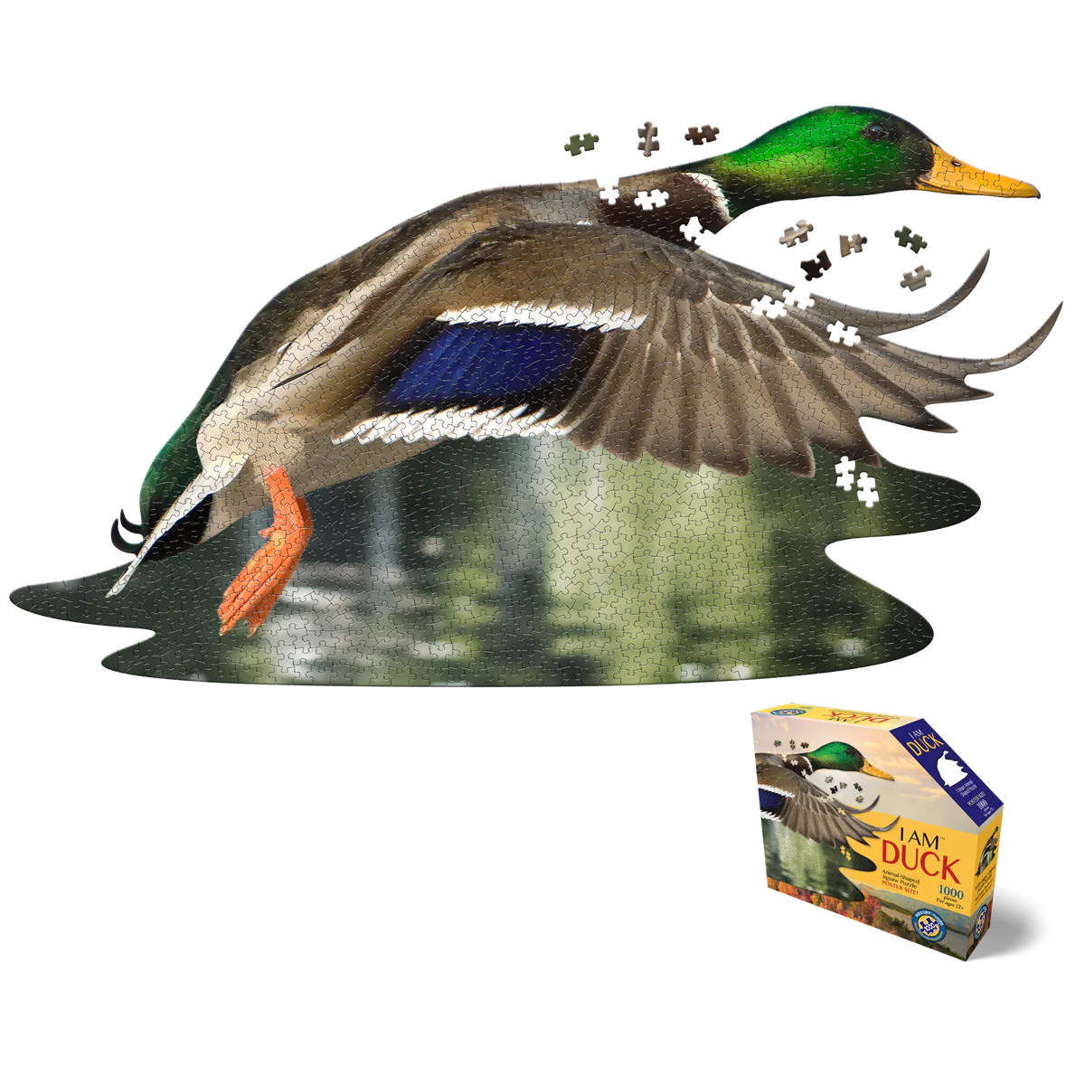 *I AM DUCK 1000 pcs Puzzle