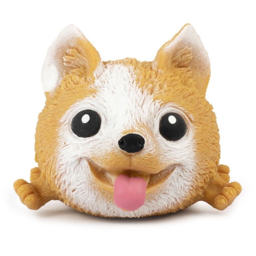 Squidgy Pooch - Assorted