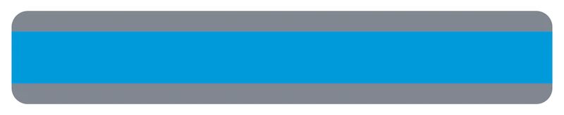 Double Wide Sentence Strip Reading Guide, Blue