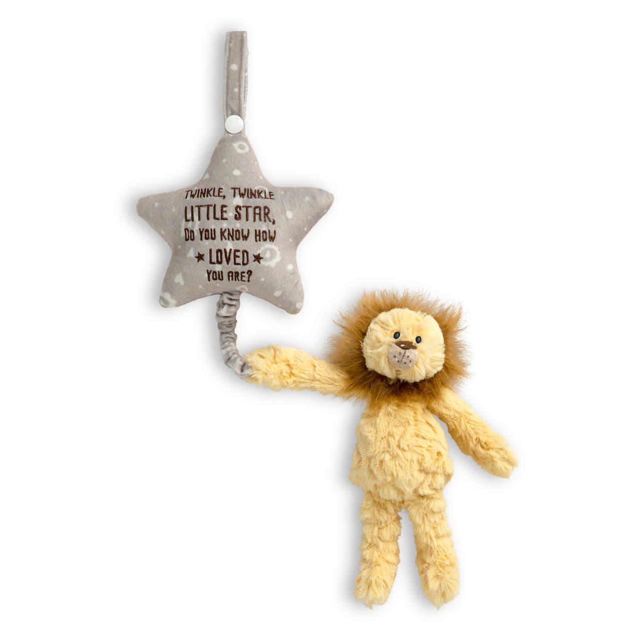 Musical Pull Toy - Lion