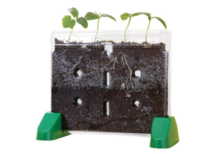 Sprout & Grow™ Window