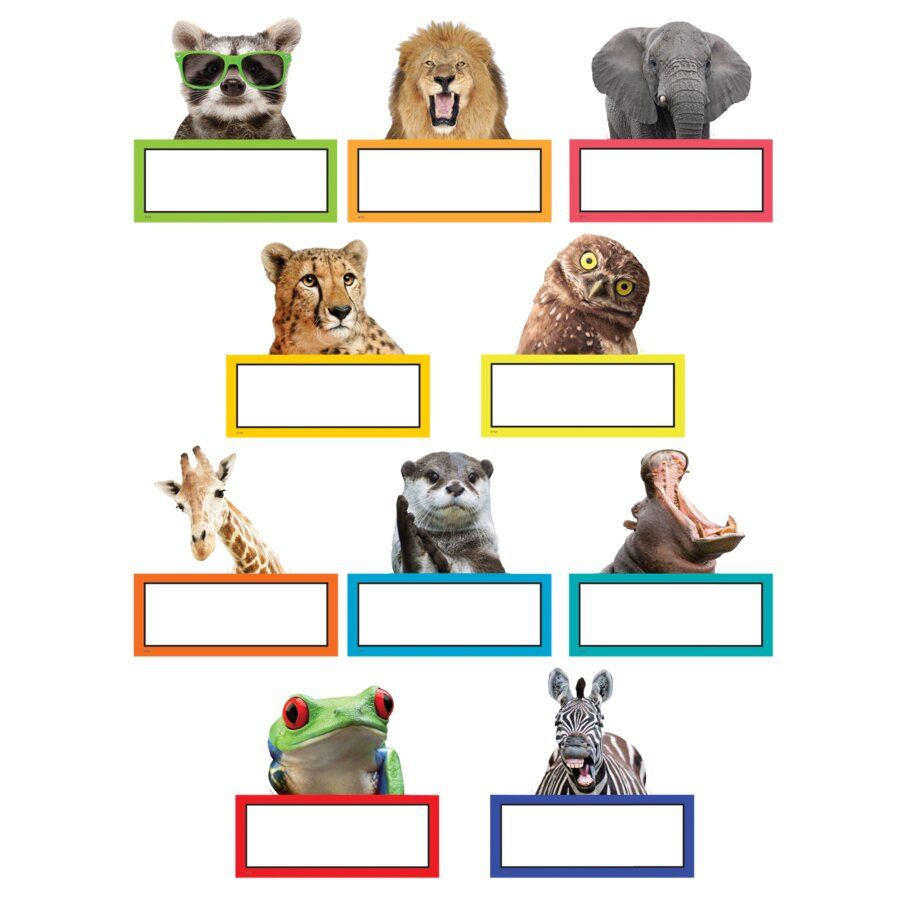 Go Wild Animals Accents