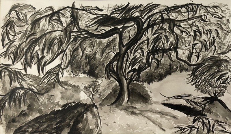Bonsai Forest