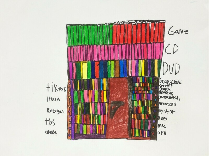 Colorful CD/DVD shelf .  Top shelf shows 15 skinny green rectangles followed by 15 skinny red ones.The second shelf shows all rectangle boxes in pink.  The third through eighth shelves show multi colored rectangle boxes..  Surrounding the image are words in black.. Tik tok, Hulu, Regal, alexa, CD, DVD.  Background is white.
