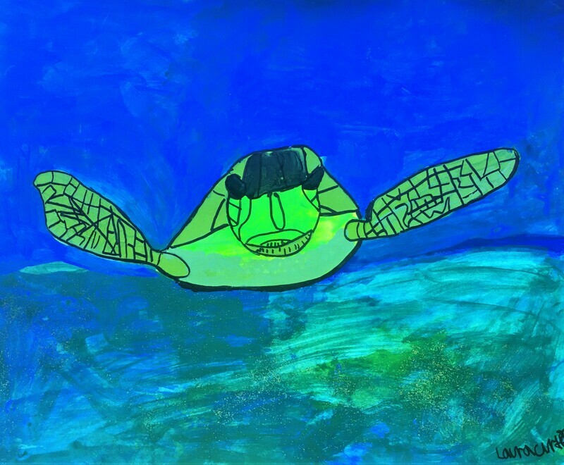 Sea Turtle Swimming Underwater