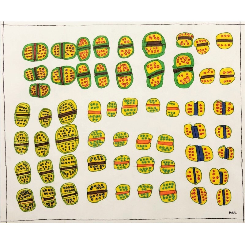 Burgers