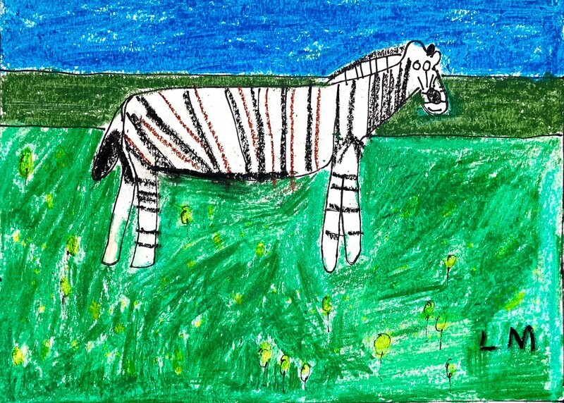 Zebra