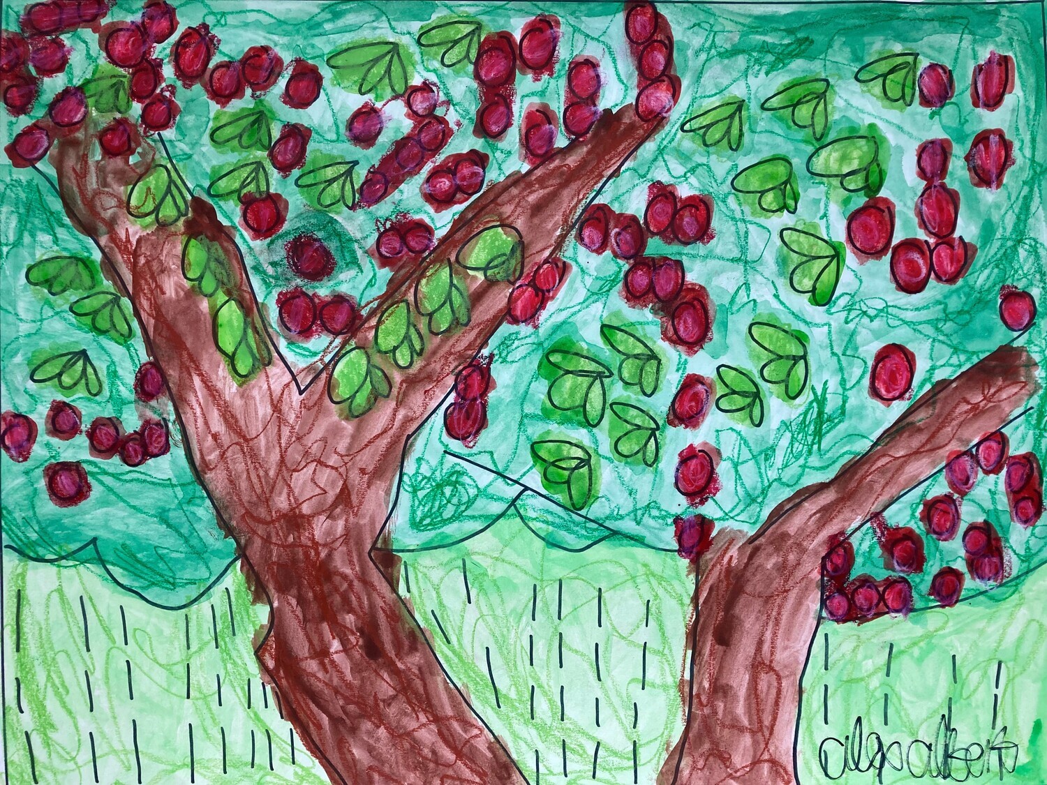Apple Trees