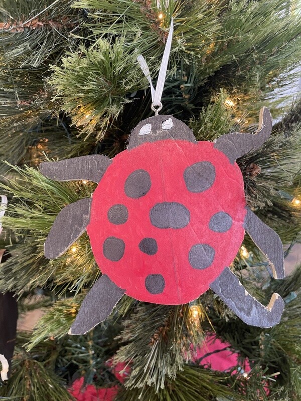 Ladybug