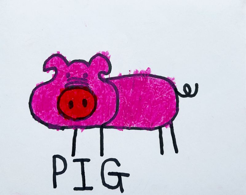 A bright pink cartoon style pig takes up most of the paper.  Underneath in all caps is the work PIG.