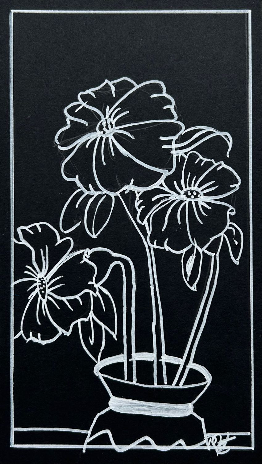 Black &amp; White Flowers
