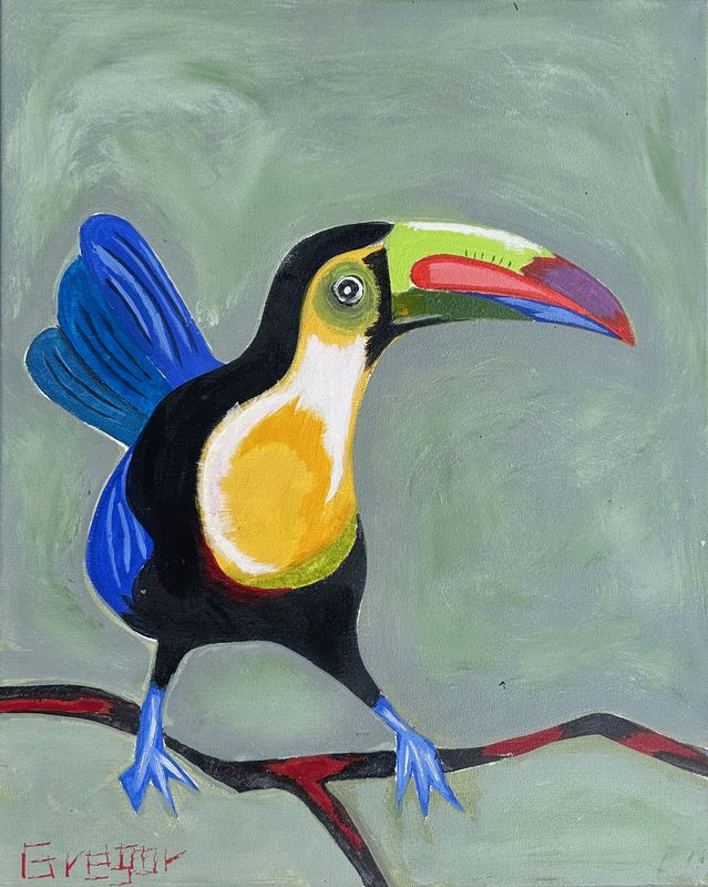 Toucan