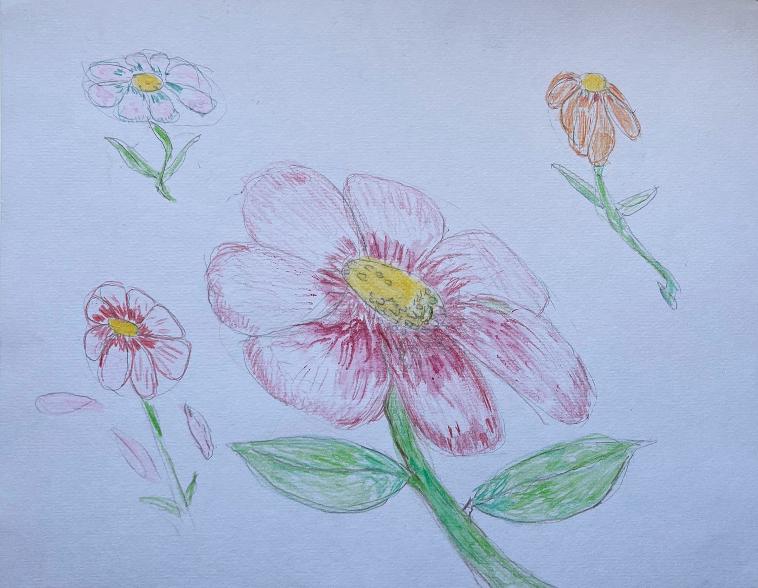 Flowers