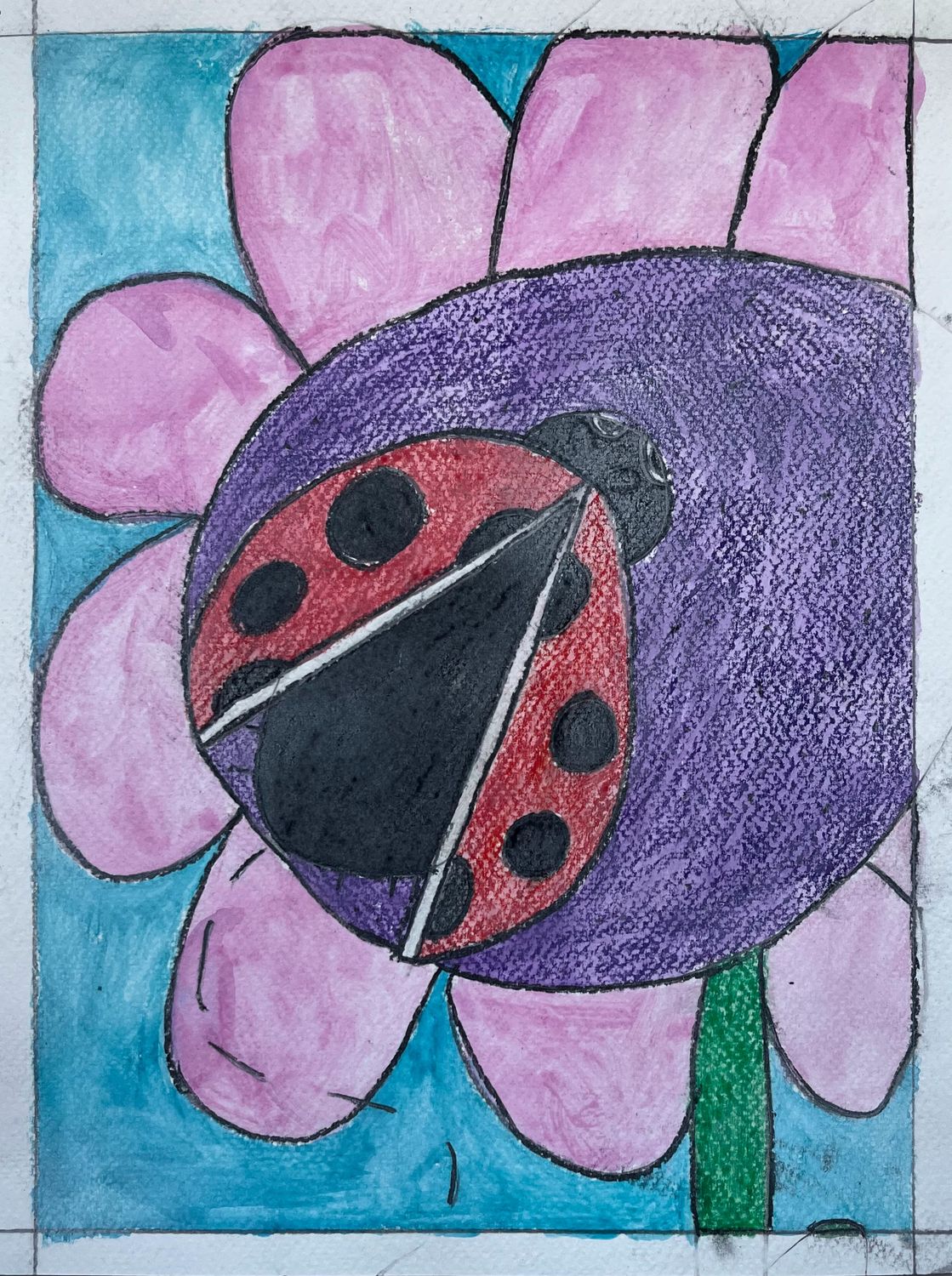 Ladybug