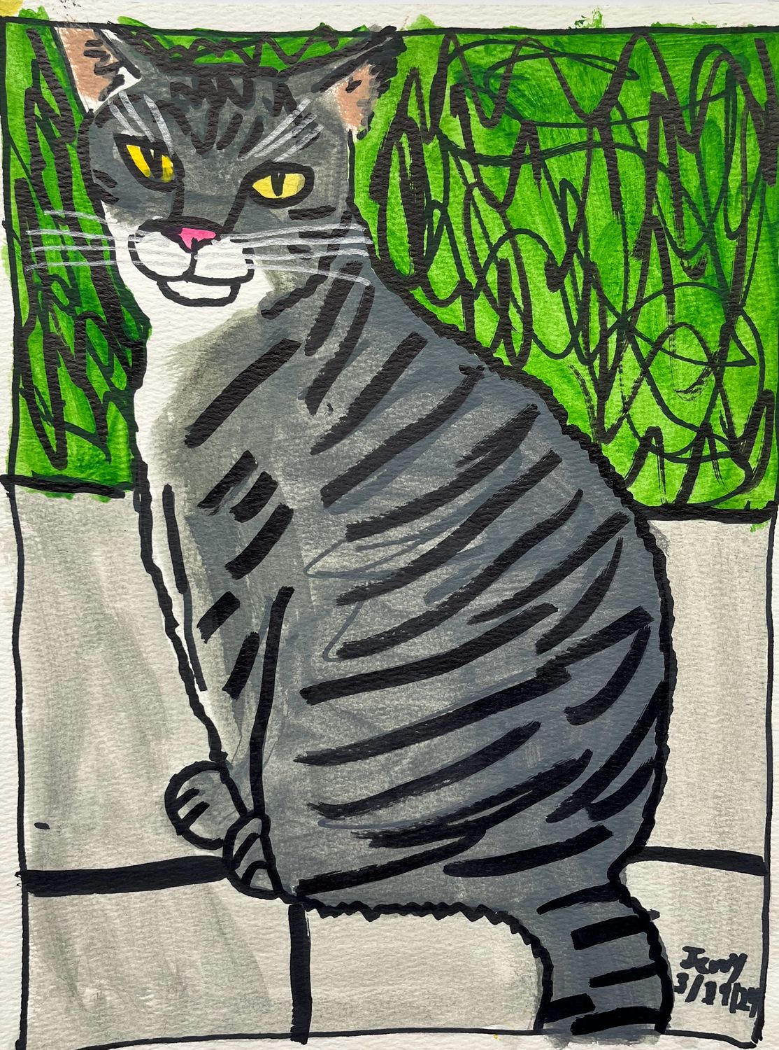 Gray Striped Cat