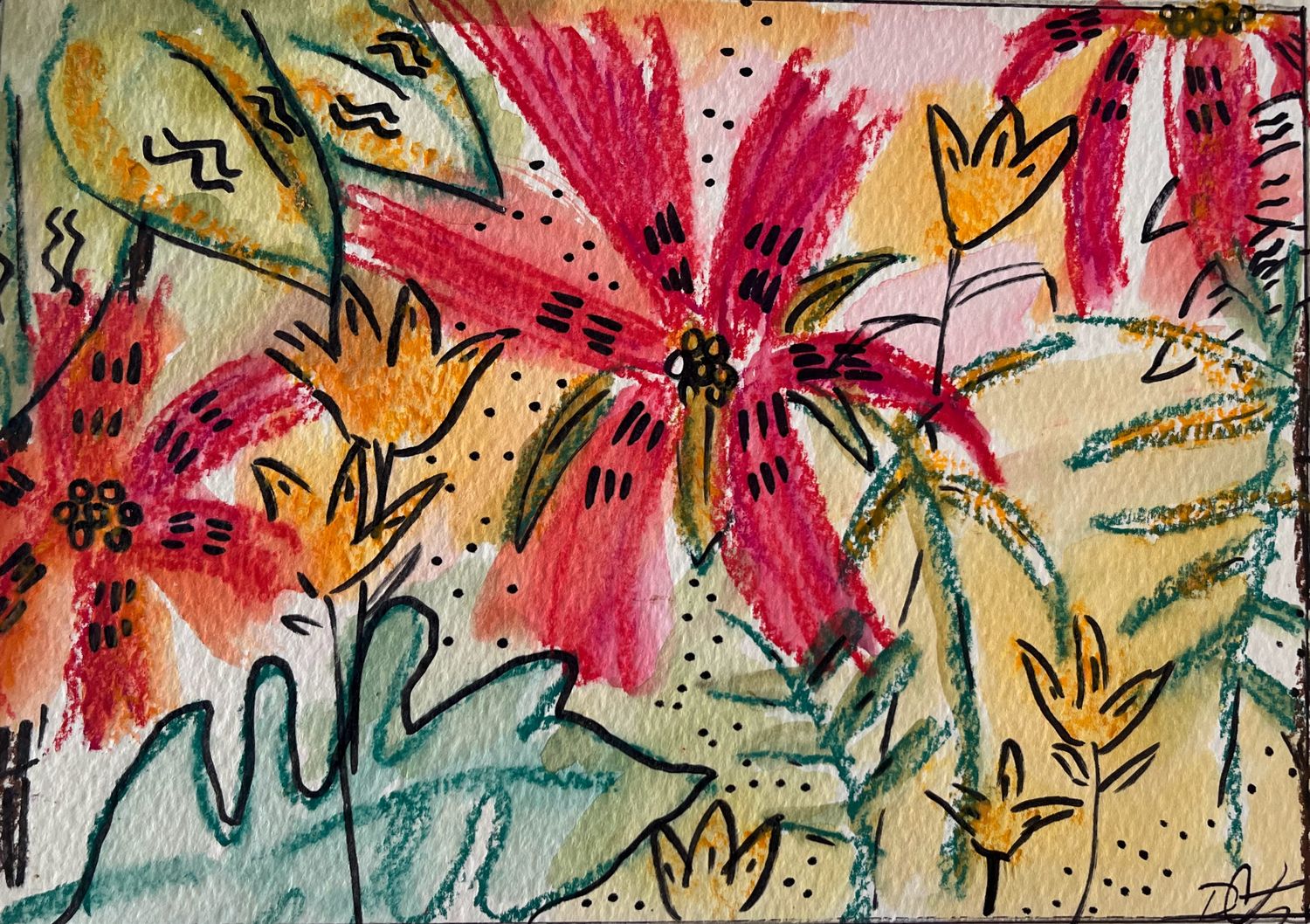 Morning Jungle Morning Jungle