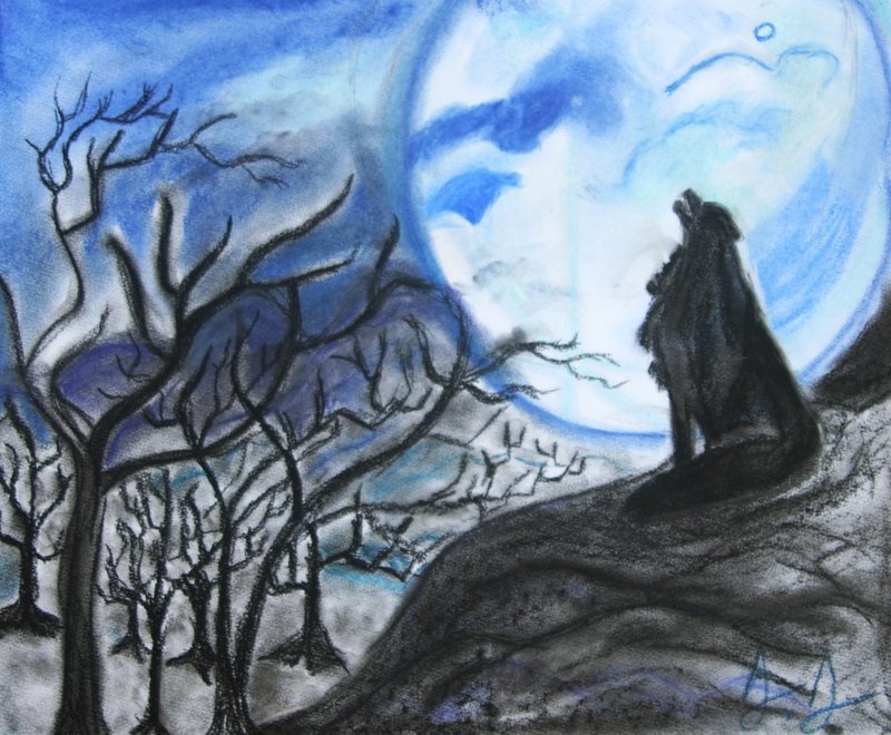 Wolf and Moon