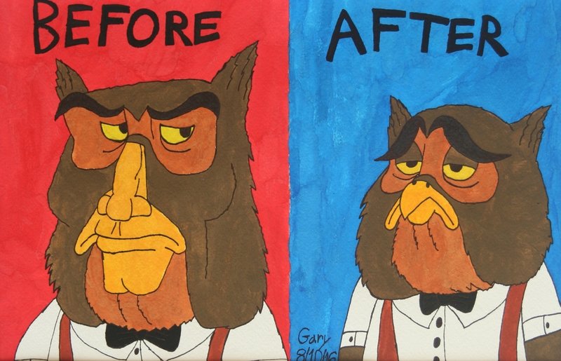 From Handsome Owl to Ugly Owl