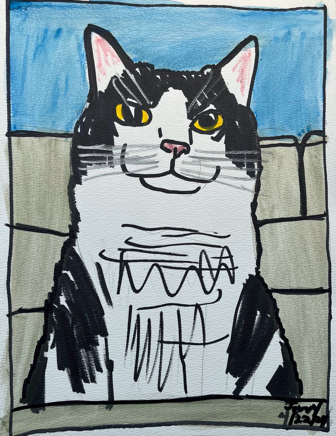 Black and White Furniture Cat