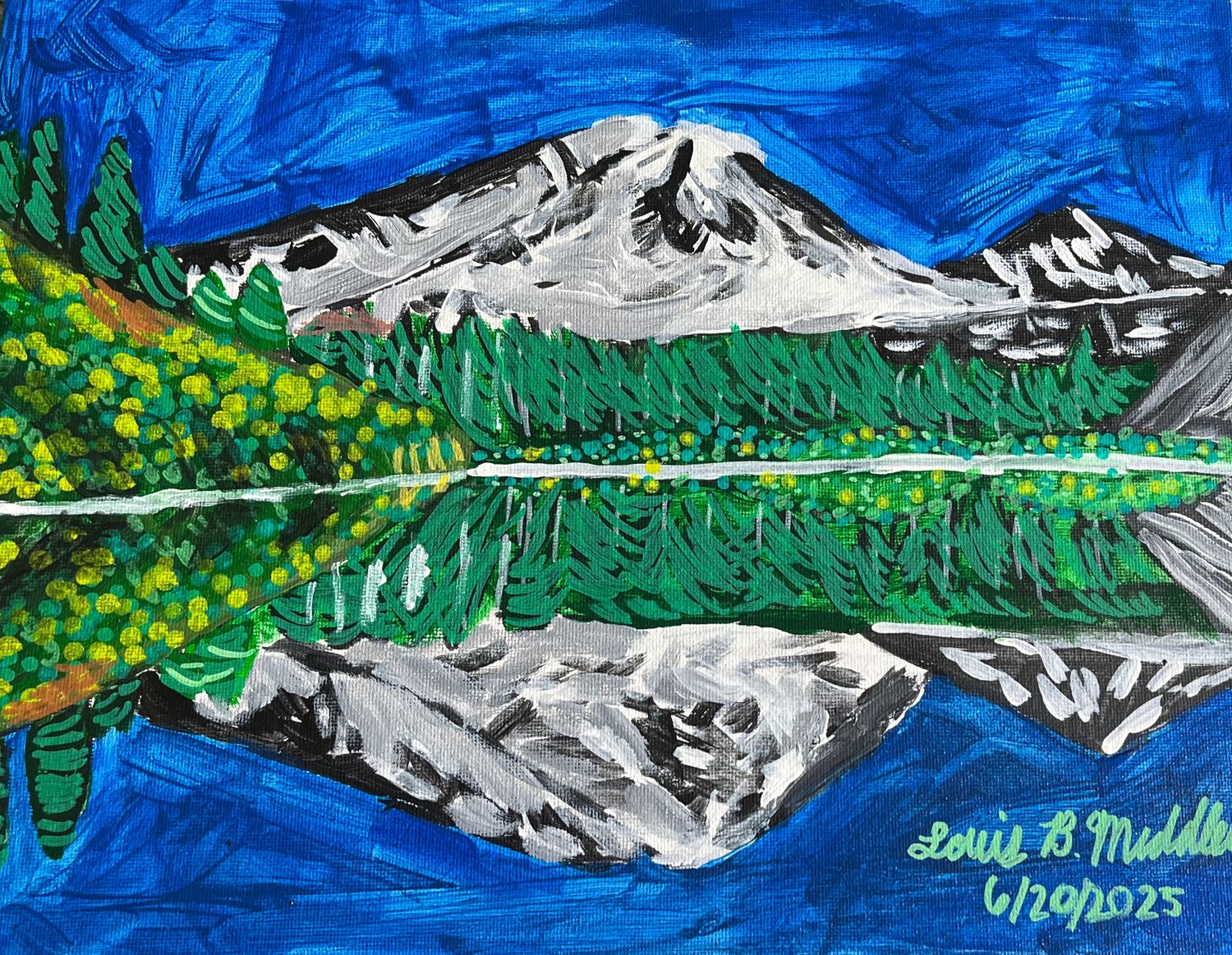 Mount Rainer National Park