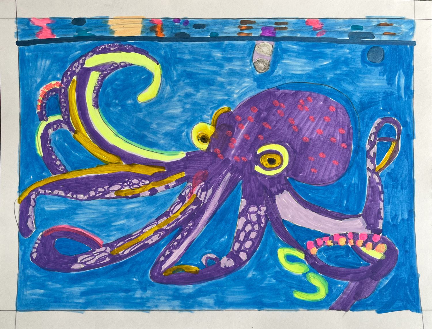 An Octopus