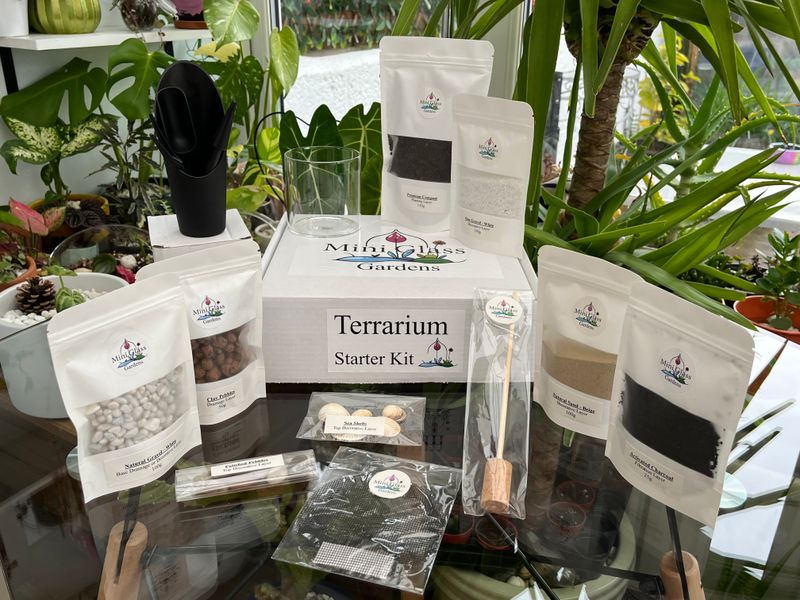 Small Open Terrarium Kit - 8cm x 8cm Glass Planter