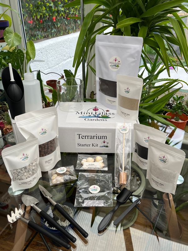 Medium Open Terrarium Kit - 10cm x 10cm Glass Planter