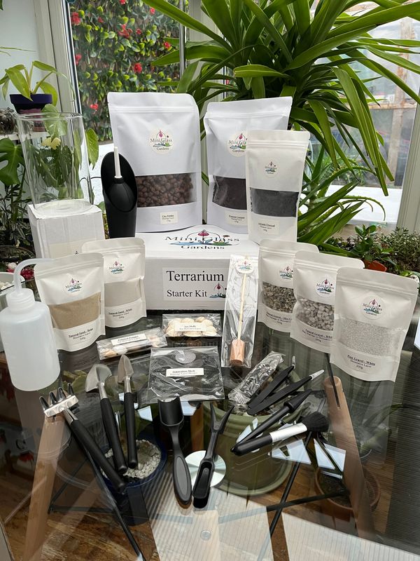 Large Open Terrarium Kit - 15cm x 10cm Glass Planter