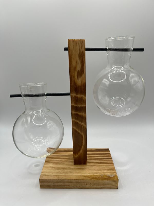 Double Bulb Glass Propagation Station – Wooden Stand Hydroponic Planter for Desktop & Home Décor - (19cm x 10cm)