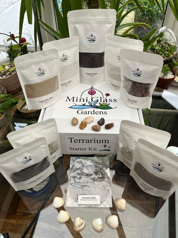 Mini Terrarium Kit – Build Your Own Terrarium Supplies