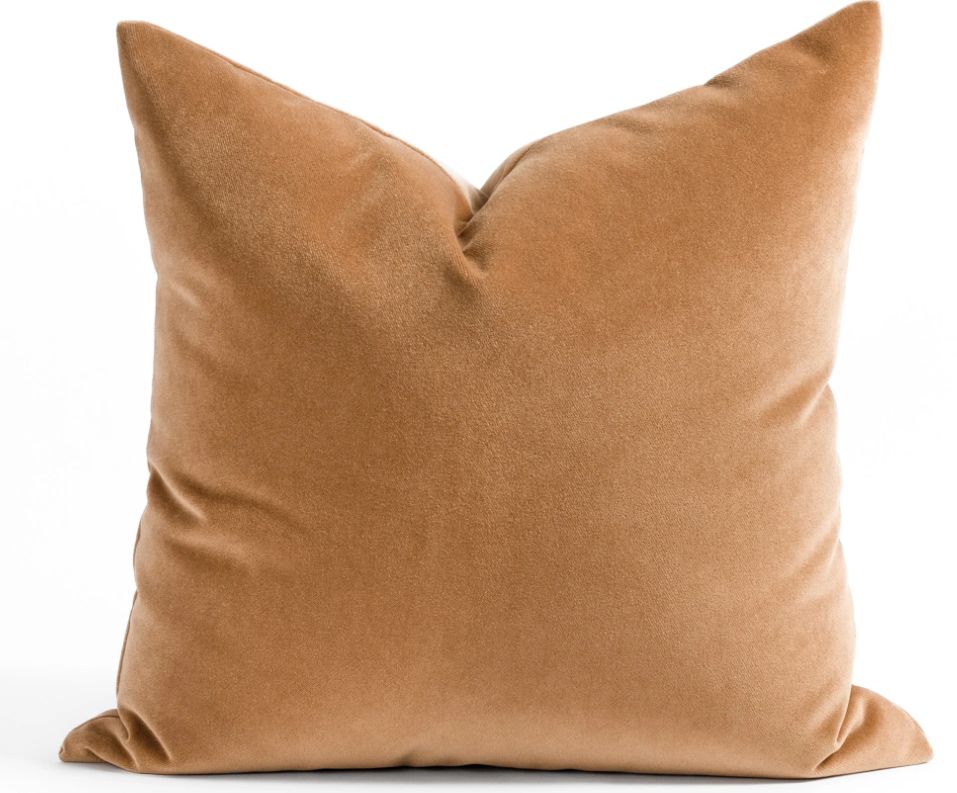 Valentina Velvet 20x20 Pillow, Nutmeg