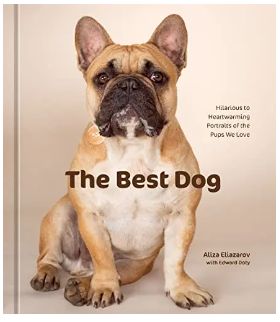 The Best Dog: Hilarious to Heartwarming Portraits of the Pups We Love