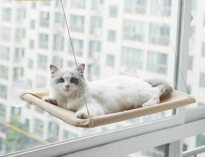 Cat Hammock