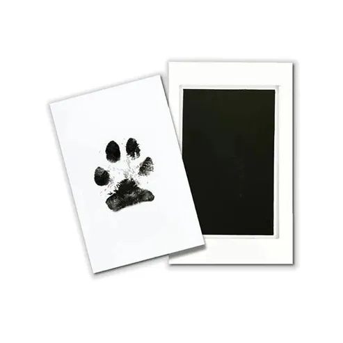 Paw Memory Pad