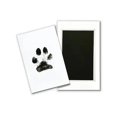Paw Memory Pad
