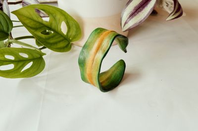 Kelp Breeze Wristband