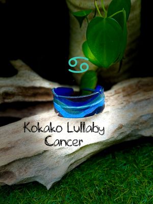 Kōkako Lullaby Leather Feather Adjustable Wristband