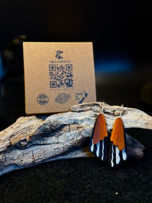 Fantail/pīwakawaka Leather Drop Earrings