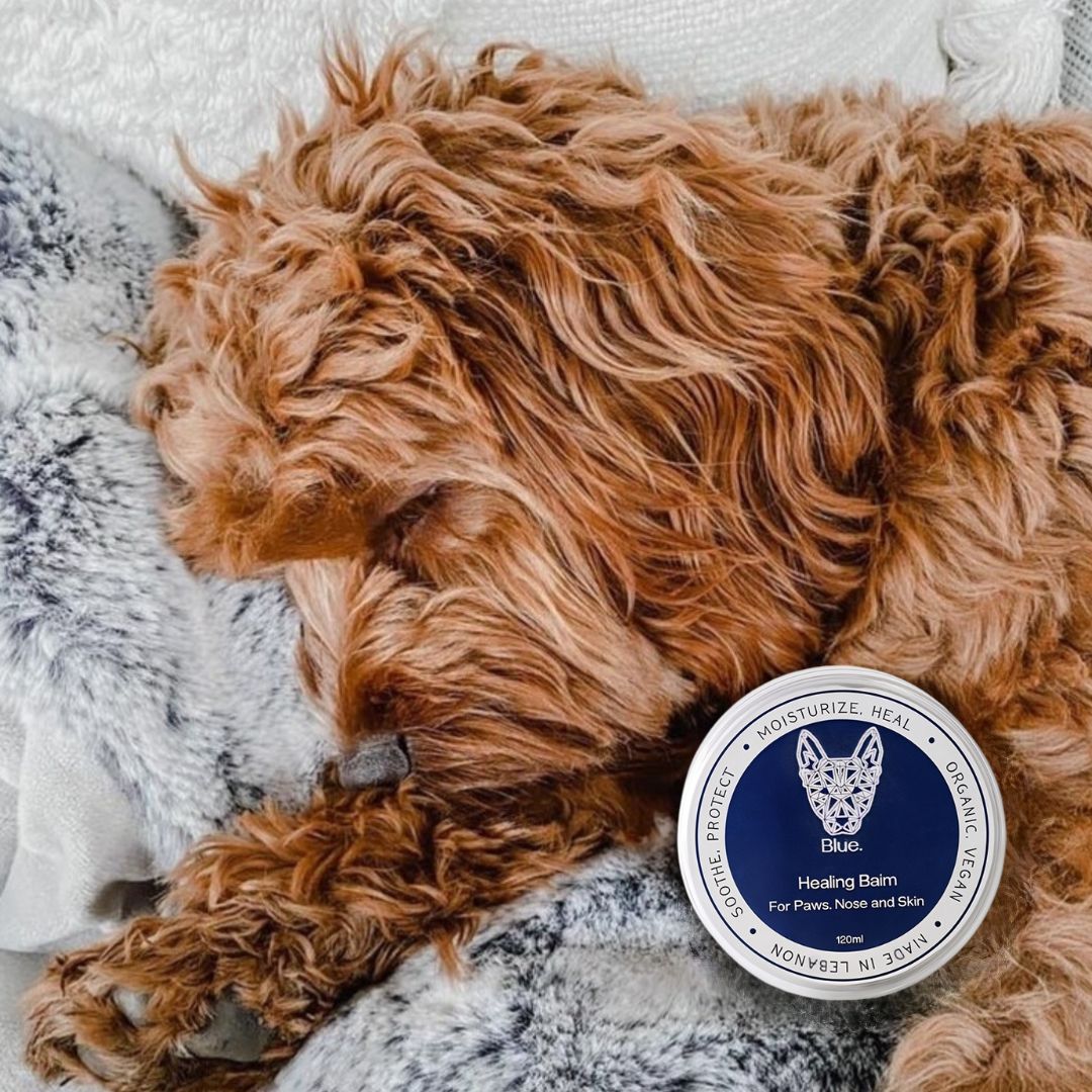 Healing Balm